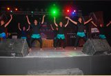 shows